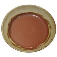 A Non-Pattern Glazed Chip and Dip Bowl