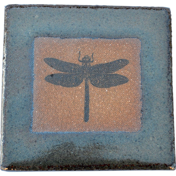 Dragonfly Coaster