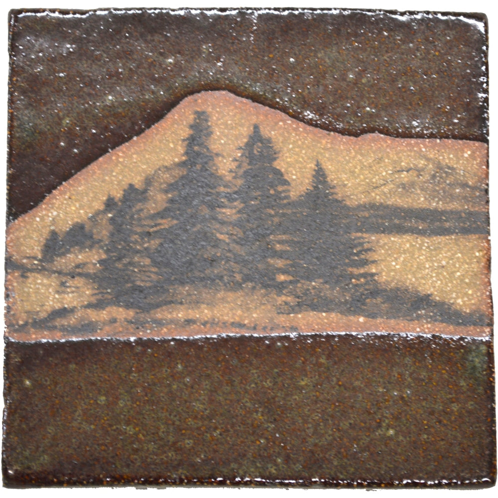 Mountain Scene Coaster