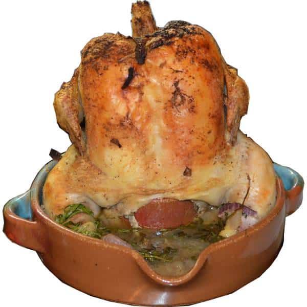 A Non-Pattern Glazed Chicken Roaster