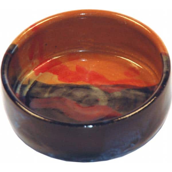 Large Dog Bowl